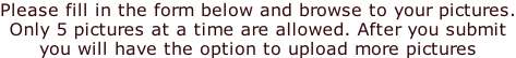 Please fill in the form below and browse to your pictures. Only 5 pictures at a time are allowed. After you submit  you will have the option to upload more pictures